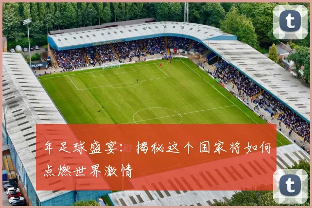 年足球盛宴：揭秘这个国家将如何点燃世界激情