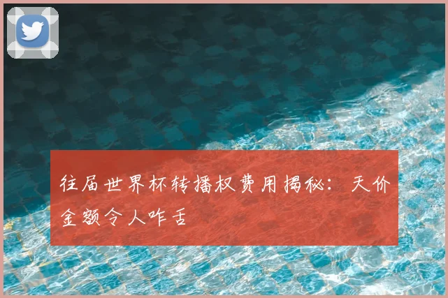 往届世界杯转播权费用揭秘：天价金额令人咋舌