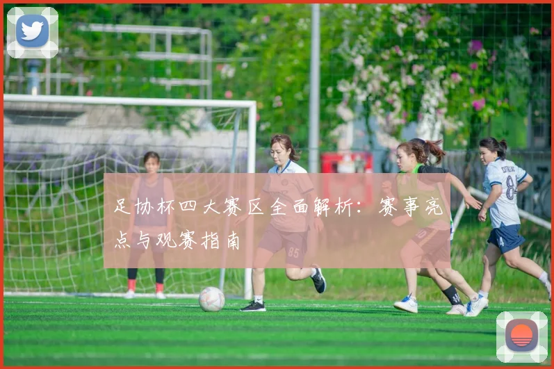 足协杯四大赛区全面解析:赛事亮点与观赛指南
