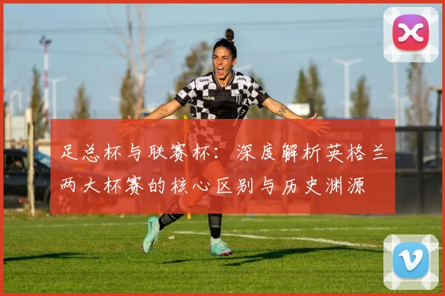 足总杯与联赛杯：深度解析英格兰两大杯赛的核心区别与历史渊源