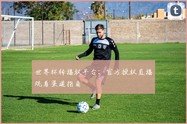 世界杯转播权平台:官方授权直播观看渠道指南